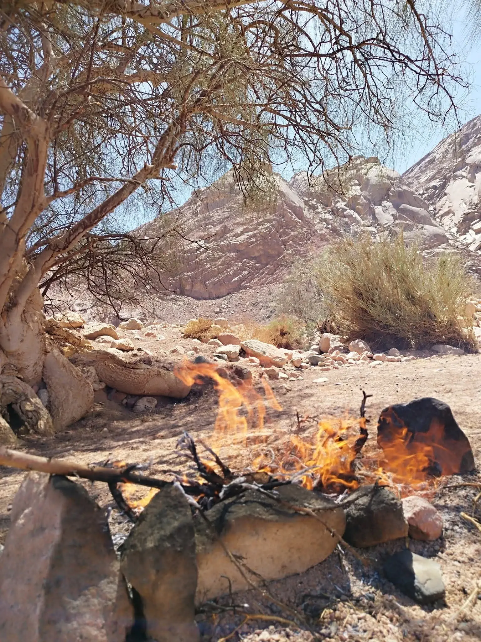 Ein kleines Feuer brennt im Schatten eines Wüstenbaums, dahinter helle Felsen